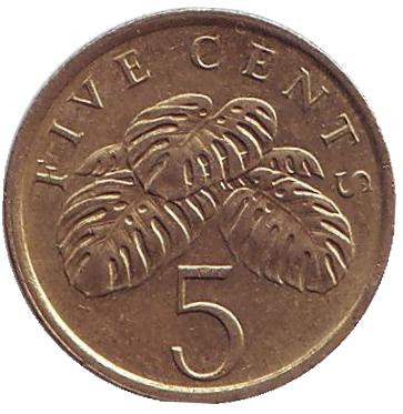 Монета 5 центов. 1985 год, Сингапур. Монстера деликатесная.