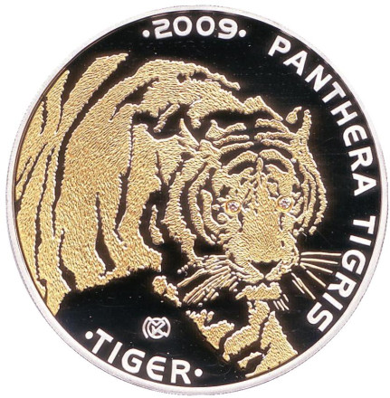tiger-1.jpg