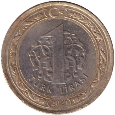 Монета 1 лира. 2021 год, Турция.