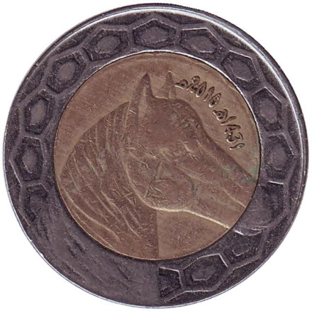 Монета 100 динаров. 2010 год, Алжир. Лошадь.