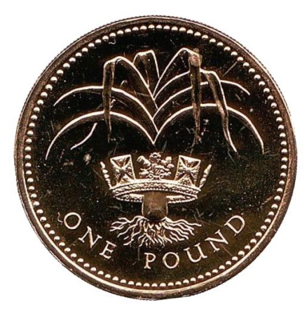Монета 1 фунт. 1985 год, Великобритания. BU. Лук-порей.