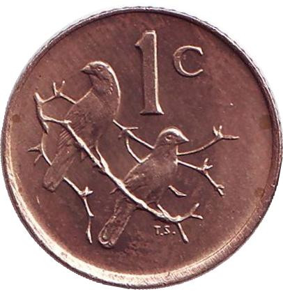 Монета 1 цент. 1985 год, ЮАР. Воробьи.